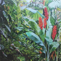 Heliconia 7, 16 x 16 inches, print on aluminium, $375