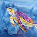 Turtle a, 16 x 20 inches, watercolor on canvas