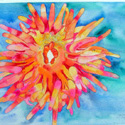 Sea Anemone, 22 x 30 inches, watercolor on paper