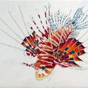 Lion Fish, 22 x 30 inches , watercolor on paper